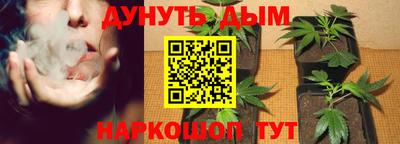 шишки Будённовск