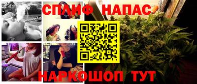 шишки Будённовск