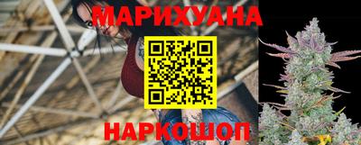 шишки Будённовск