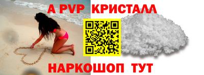 шишки Будённовск