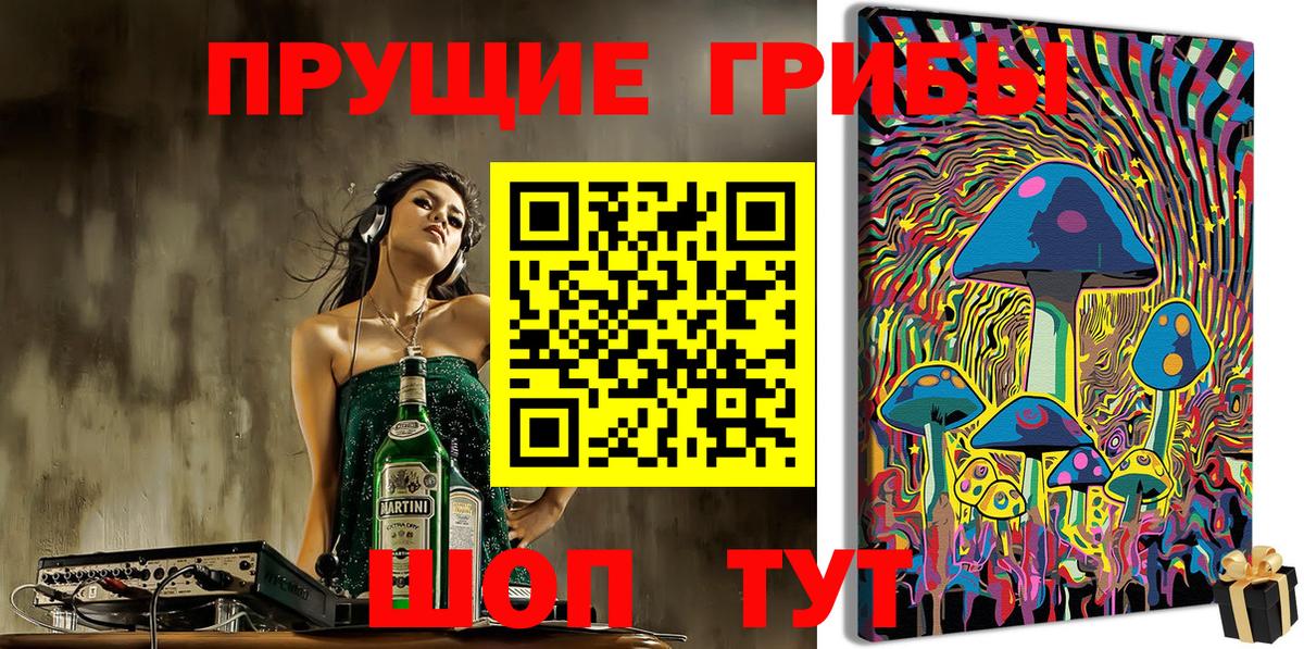 Кировск  Псилоцибиновые грибы прущие грибы  что такое наркотик  Вход с VPN 